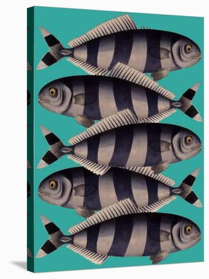 Blue Striped Fish-Fab Funky-Stretched Canvas