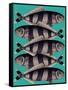 Blue Striped Fish-Fab Funky-Framed Stretched Canvas