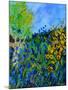 Blue summer flowers-Pol Ledent-Mounted Art Print