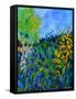 Blue summer flowers-Pol Ledent-Framed Stretched Canvas