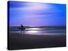 Blue Surfer II-Josh Adamski-Stretched Canvas