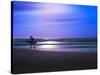 Blue Surfer II-Josh Adamski-Stretched Canvas