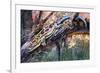 Blue-Tailed Day Gecko (Phelsuma Cepediana), Gekkonidae-null-Framed Giclee Print