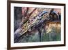 Blue-Tailed Day Gecko (Phelsuma Cepediana), Gekkonidae-null-Framed Giclee Print