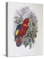 Blue, Thighed Lory-John Gould-Stretched Canvas