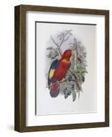 Blue, Thighed Lory-John Gould-Framed Giclee Print