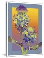 Blue Thistle-David Chestnutt-Stretched Canvas