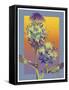 Blue Thistle-David Chestnutt-Framed Stretched Canvas