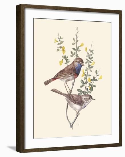 Blue Throat-Anatole Marlin-Framed Giclee Print