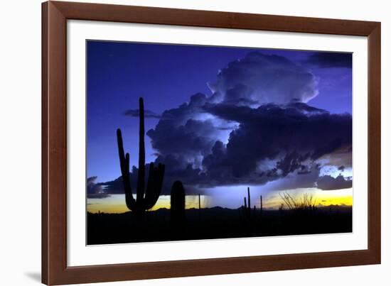 Blue Thunder-Douglas Taylor-Framed Photographic Print