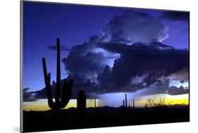 Blue Thunder-Douglas Taylor-Mounted Photographic Print