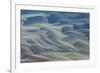 Blue Tide I-Peter Adams-Framed Giclee Print