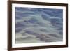 Blue Tide II-Peter Adams-Framed Giclee Print