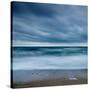 Blue Tide-David Baker-Stretched Canvas