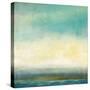 Blue Tide-Suzanne Nicoll-Stretched Canvas