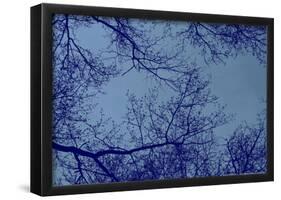 Blue Tinted Trees and Sky-null-Framed Poster