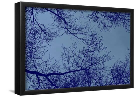 Poster, , large