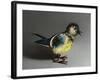 Blue Tit, 2016,-Peter Jones-Framed Giclee Print