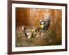 Blue tit  (Cyanistes caeruleus) feeding young in the nestbox,  Bavaria, Germany, May-Konrad Wothe-Framed Photographic Print