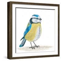 Blue Tit on the Ground-Milovelen-Framed Art Print