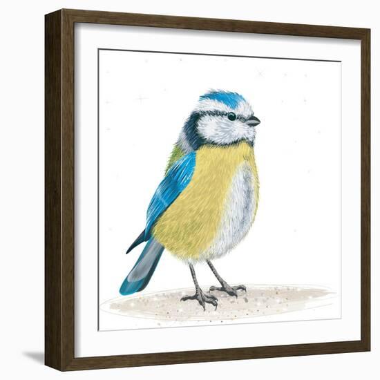 Blue Tit on the Ground-Milovelen-Framed Art Print