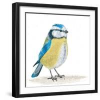 Blue Tit on the Ground-Milovelen-Framed Art Print