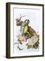 Blue Tit-English-Framed Giclee Print