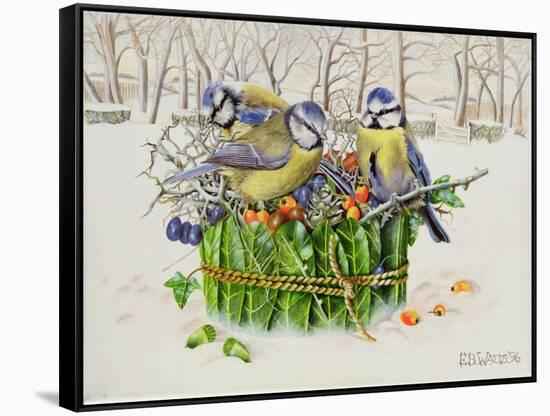 Blue Tits in Leaf Nest, 1996-E.B. Watts-Framed Stretched Canvas