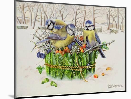 Blue Tits in Leaf Nest, 1996-E.B. Watts-Mounted Giclee Print