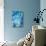 Blue Tone-Philippe Sainte-Laudy-Photographic Print displayed on a wall