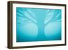 Blue Tree in Fog-Andy Bell-Framed Photographic Print