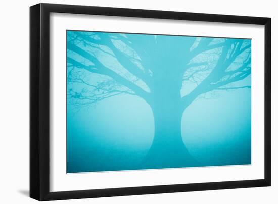Blue Tree in Fog-Andy Bell-Framed Photographic Print