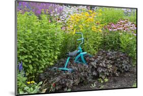 Blue Tricycle in Flower Garden with False Sunflower-Richard and Susan Day-Mounted Photographic Print