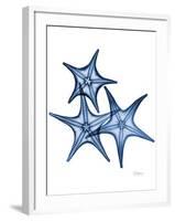 Blue Trio Starfish-Albert Koetsier-Framed Art Print