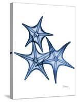 Blue Trio Starfish-Albert Koetsier-Stretched Canvas