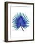 Blue Tropical Leaf-Jasmine Woods-Framed Art Print