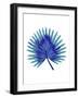 Blue Tropical Leaf-Jasmine Woods-Framed Art Print