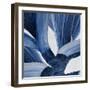 Blue Tropical Steam II-null-Framed Art Print