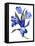 Blue tulip-Hiroyuki Izutsu-Framed Stretched Canvas