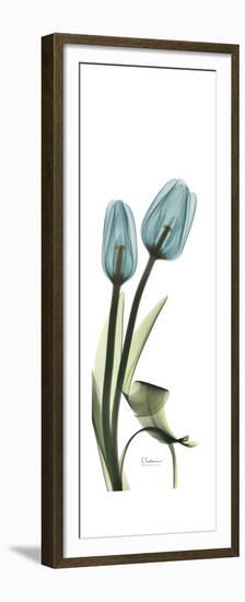 Blue Tulips-Albert Koetsier-Framed Premium Giclee Print