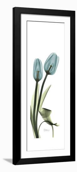 Blue Tulips-Albert Koetsier-Framed Premium Giclee Print