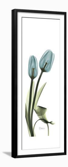 Blue Tulips-Albert Koetsier-Framed Premium Giclee Print