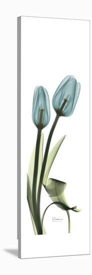 Blue Tulips-Albert Koetsier-Stretched Canvas