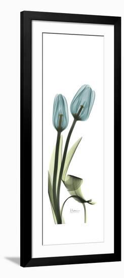 Blue Tulips-Albert Koetsier-Framed Art Print