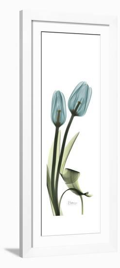 Blue Tulips-Albert Koetsier-Framed Art Print