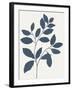 Blue Twig I-Isabelle Z-Framed Art Print