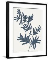Blue Twig II-Isabelle Z-Framed Art Print
