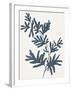 Blue Twig II-Isabelle Z-Framed Art Print