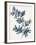 Blue Twig II-Isabelle Z-Framed Art Print