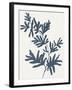 Blue Twig II-Isabelle Z-Framed Art Print